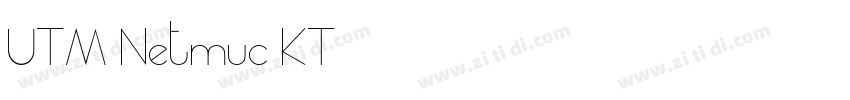 UTM Netmuc KT字体转换